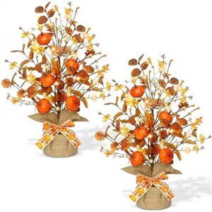 2 Pack & Timer - Lighted Fall Tree Tabletop Fall Decor with 30 LED